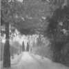 Thumbnail: The Broad Walk in 1900.jpg